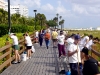 Lets Paint the Boardwalk - 11/03