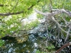 Tatum Waterway Cleanup - 03/04